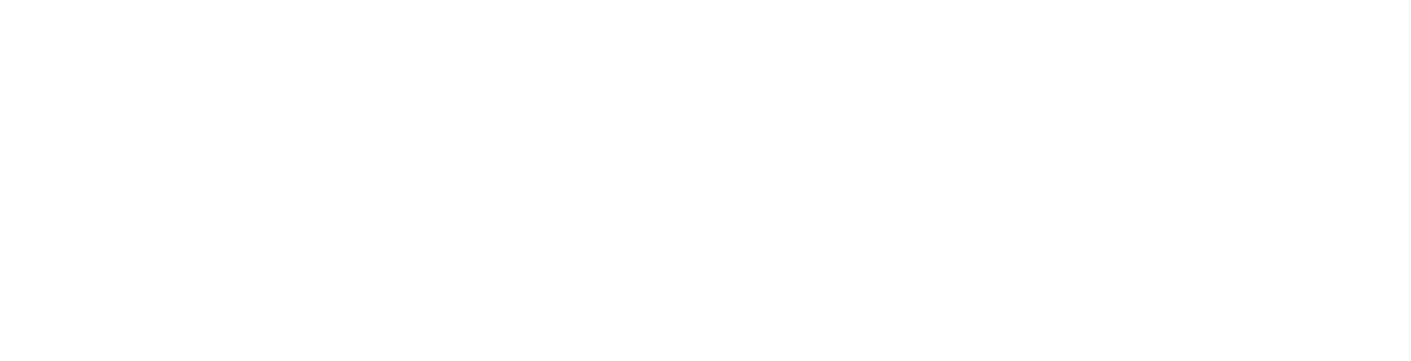 ShapelesAI